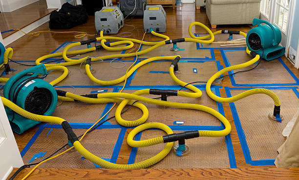 Professional Crawl Space Water Removal technician working in Dawes, WV